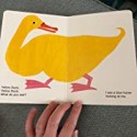 What The Ladybird Heard