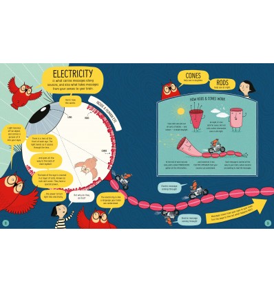 Usborne Book of the Brain and How it Works