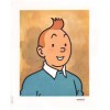 Tintin Selection