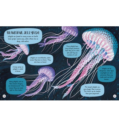 Children's First Dinosaur Encyclopedia