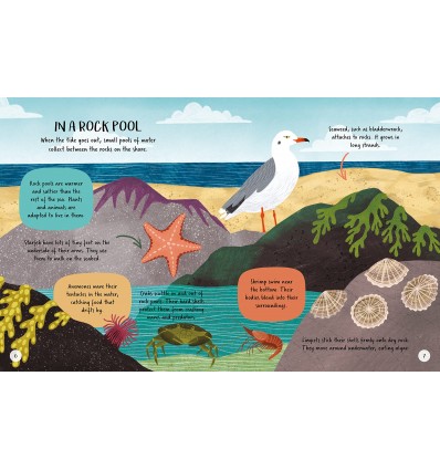 Children's First Dinosaur Encyclopedia