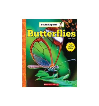 Butterflies (Be an Expert!)