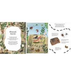 A Walk Through Nature 2