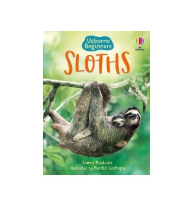 Beginners. Sloths