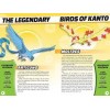 Pokemon: Legendary and Mythical Guidebook