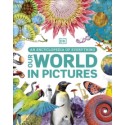 Our World in Pictures : An Encyclopedia of Everything