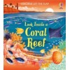 Look inside a Coral Reef