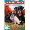 The Puppy Place. Bingo