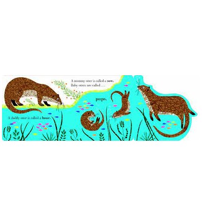 Animal Families: River