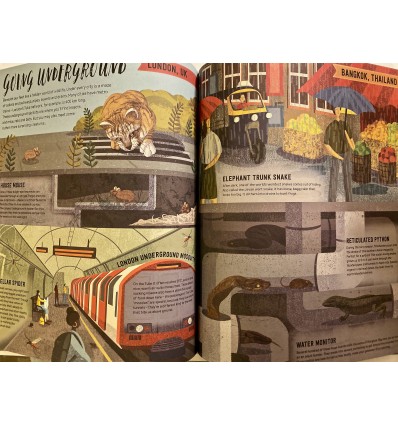 Wild City : Meet the animals who share our city spaces