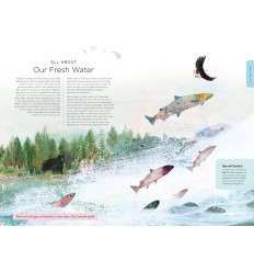 Our Planet : The One Place We All Call Home 2