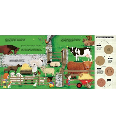 Look What I Found on the Farm