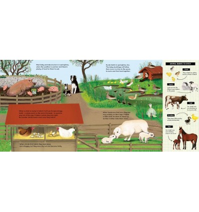 Look What I Found on the Farm