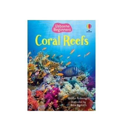 Beginners. Rainforest