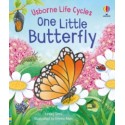Usborne Life Cycles. One Little Butterfly