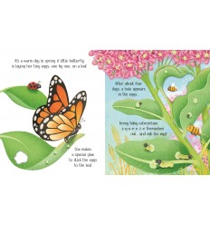 Usborne Life Cycles. One Little Butterfly 2
