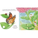 Usborne Life Cycles. One Little Butterfly