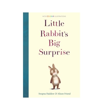 Little Rabbit's Big Surprise