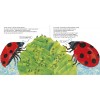 The Bad-tempered Ladybird