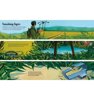 The Tigers' Tale : A conservation story