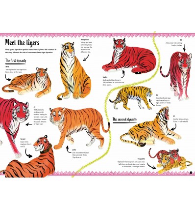 The Tigers' Tale : A conservation story