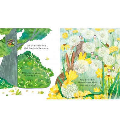 Peep Inside Springtime