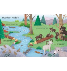 Wipe-Clean Nature Activities 2