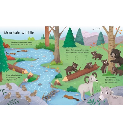 Wipe-Clean Nature Activities