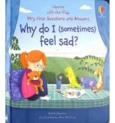 Why do I (sometimes) feel sad?