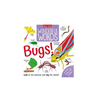Wonderful Words: Bugs!