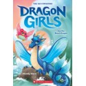 Dragon Girls. Willa the Silver Glitter Dragon (Dragon Girls. Willa the Silver Glitter Dragon