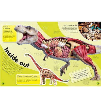 Everything You Need to Know About Dinosaurs : And Other Prehistoric Creatures
