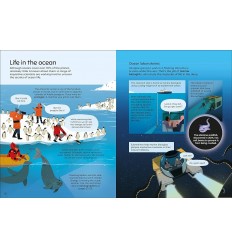 What Do Scientists Do? 2