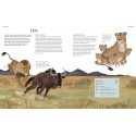 The Illustrated Encyclopedia of Animals
