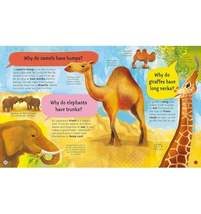 I Wonder Why Camels Have Humps