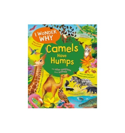 I Wonder Why the Sea is Salty