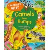 I Wonder Why Camels Have Humps