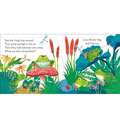 Pop-Up Peekaboo! Frog