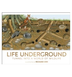 Life Underground : Tunnel into a World of Wildlife