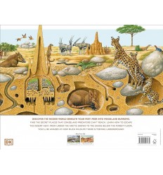 Life Underground : Tunnel into a World of Wildlife 2