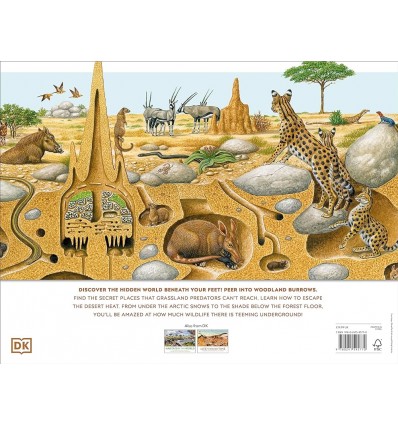 My Book of Gymnastics