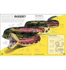 Everything You Need to Know About Dinosaurs : And Other Prehistoric Creatures 2