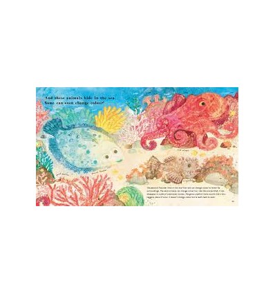 Find Out About ... Animal Camouflage