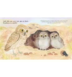 Find Out About ... Animal Tools 2