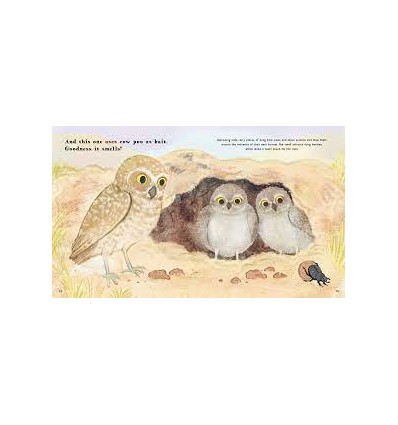 Find Out About ... Animal Tools