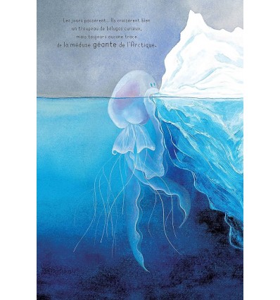 The Search for the Giant Arctic Jellyfish