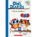 Owl Diaries. Eva's Treetop Festival
