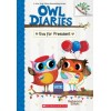 Owl Diaries. Eva for President
