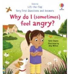 Why do I (sometimes) feel angry?