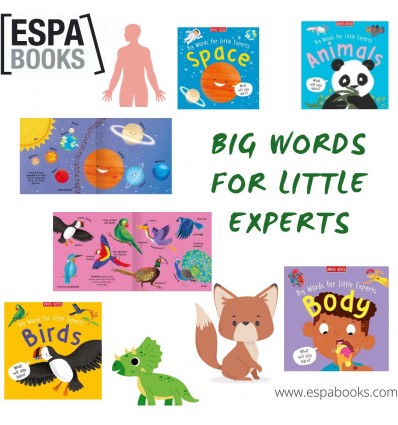 Big Words for Little Experts Selection